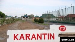 Сурхондарё вилояти 20 майдан “яшил” ҳудудга айланган эди.