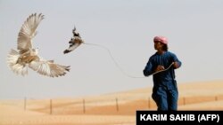 تصویر له ارشیفه 