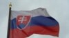 Словаччина зайнялась обстеженням порядку видачі віз громадянам Росії