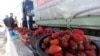 Чем угрожает экономике ужесточение режима на границе