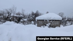 სოფელი ნატანები, გურია. 24 თებერვალი, 2025 წელი 