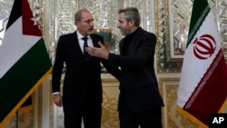 Iranian acting Foreign Minister Ali Baqeri Kani (right) welcomes Jordanian Foreign Minister Ayman Safadi in Tehran on August 4.