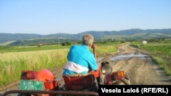 Od 2003. do 2010. godine nezakonito je prisvojeno 514.105 hektara državne i zadružne zemlje
