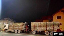 Transporturile ilegale de lemn au scăzut după implementarea sistemului SUMAL, aplicație care începe să fie fraudată de hoții de lemn