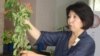 Жашоосун икэбанага арнаган Чынара сан 