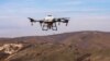 Uz dron i seme, Priština u borbi protiv krčenja šuma