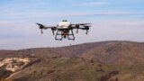 Uz dron i seme, Priština u borbi protiv krčenja šuma