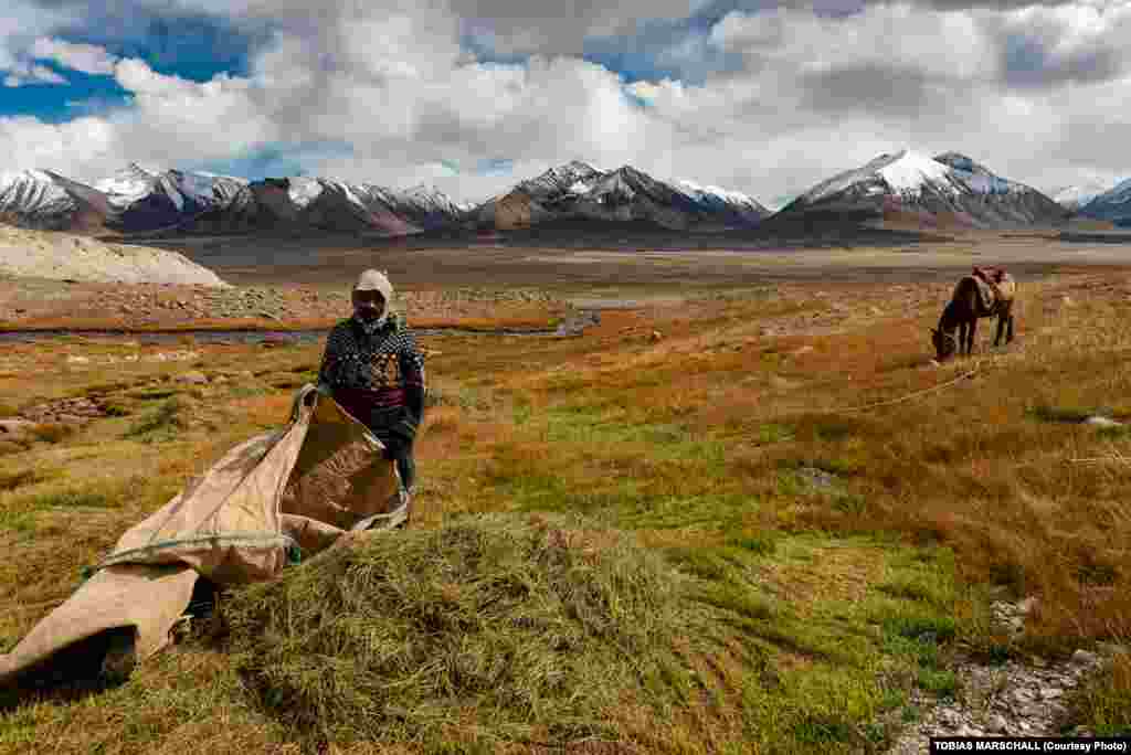 Irrigated fields of hay are cut by hand at the end of the summer, providing fodder for livestock through the winter when ice covers the vegetation. 