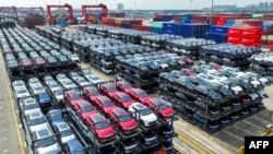 Električna vozila kineske kompanije BYD čekaju na utovar u luci Sudžou, 11. septembar 2023.