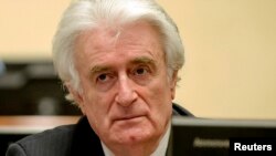 Kako je došlo do promjene koja je odvela u zločine: Radovan Karadžić 